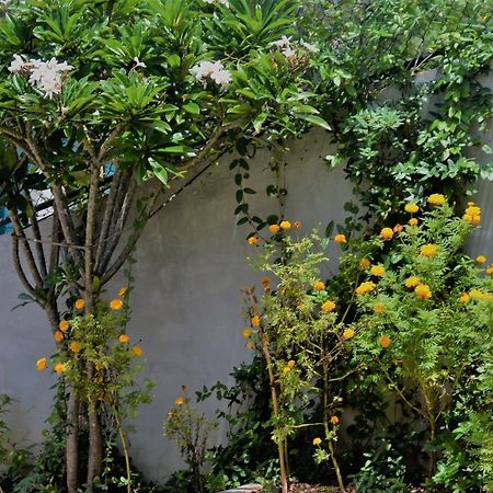 Bellaxy Ceylon B&B 외부 사진